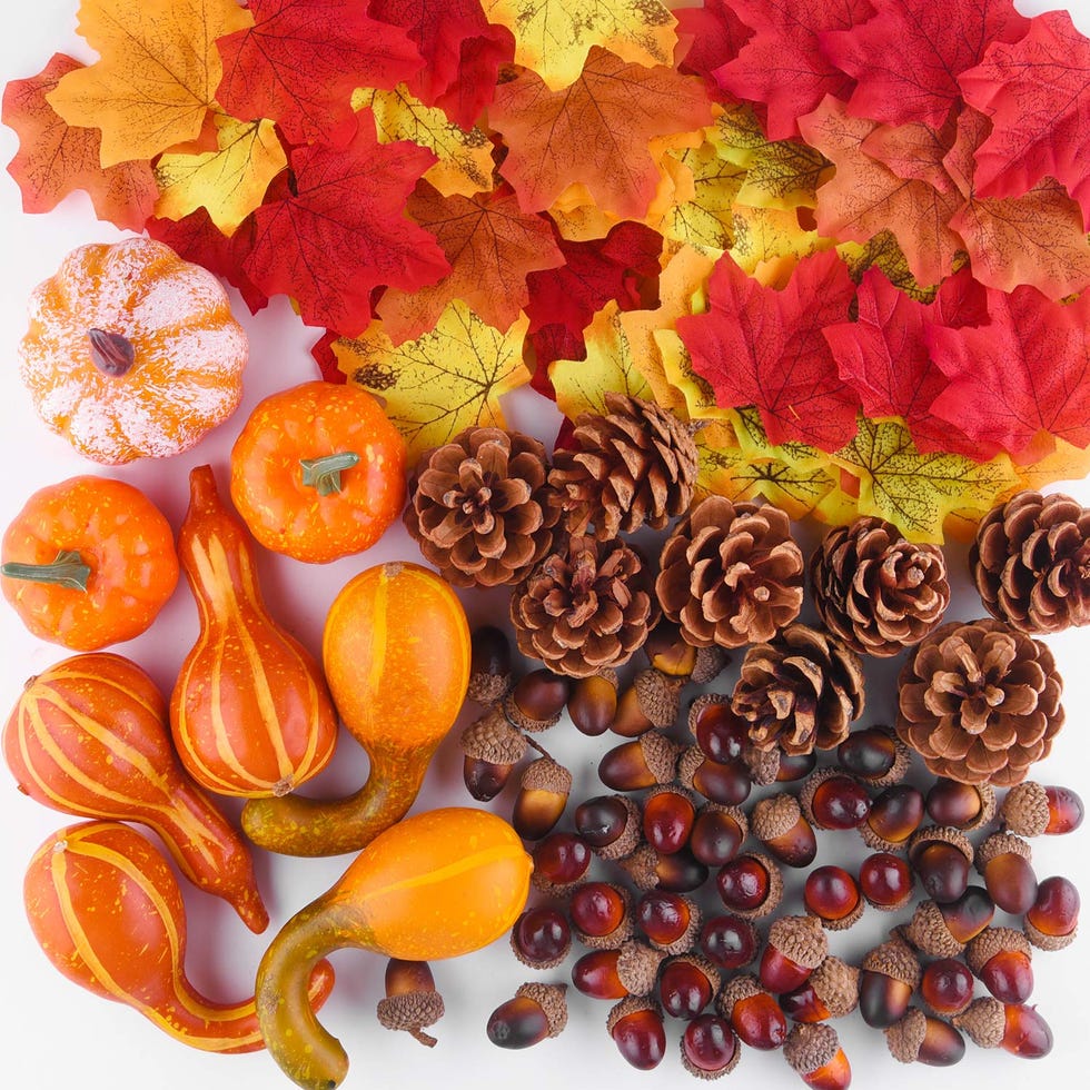 Juego de calabazas mini, piñas, hojas y borlas