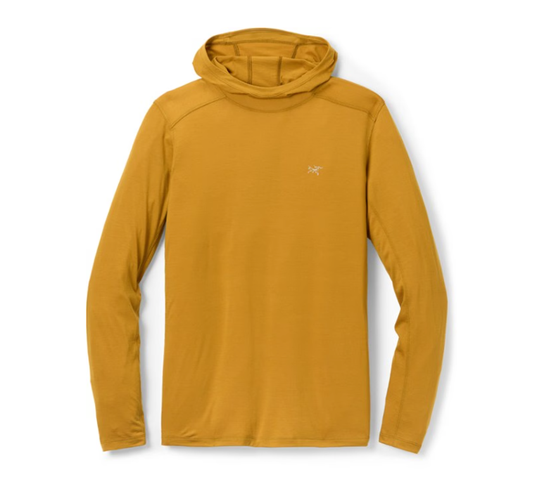 Ionia Merino Wool Hoodie