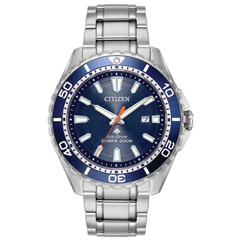 Promaster Dive Watch