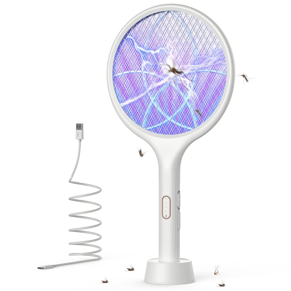 Electric Fly Swatter