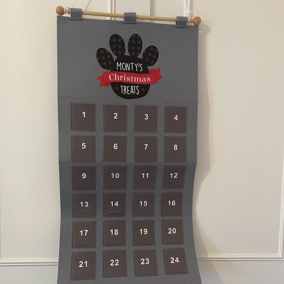 Best dog advent calendars for 2024, tested by GHI pets
