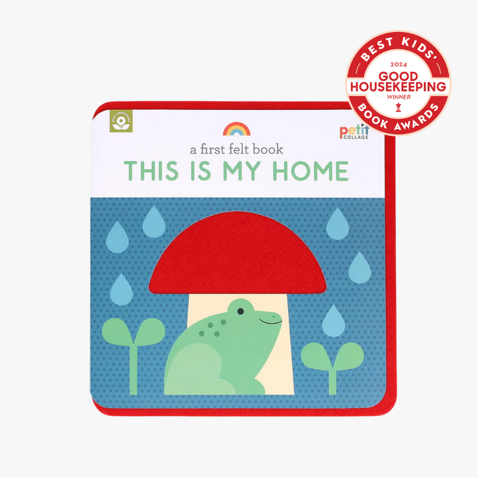 A First Felt Book: This Is My Home