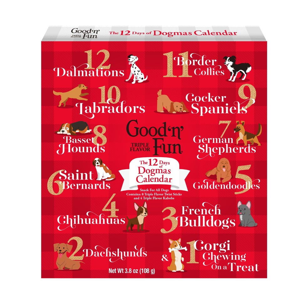 Good n Fun The 12 Days of Dogmas Holiday Calendar 