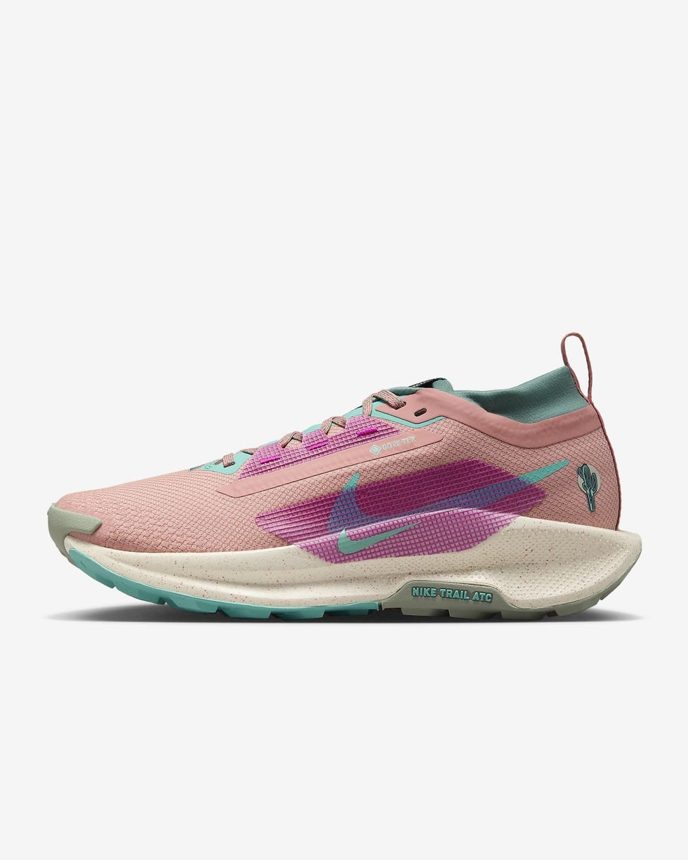 Pegasus Trail 5 GORE-TEX 