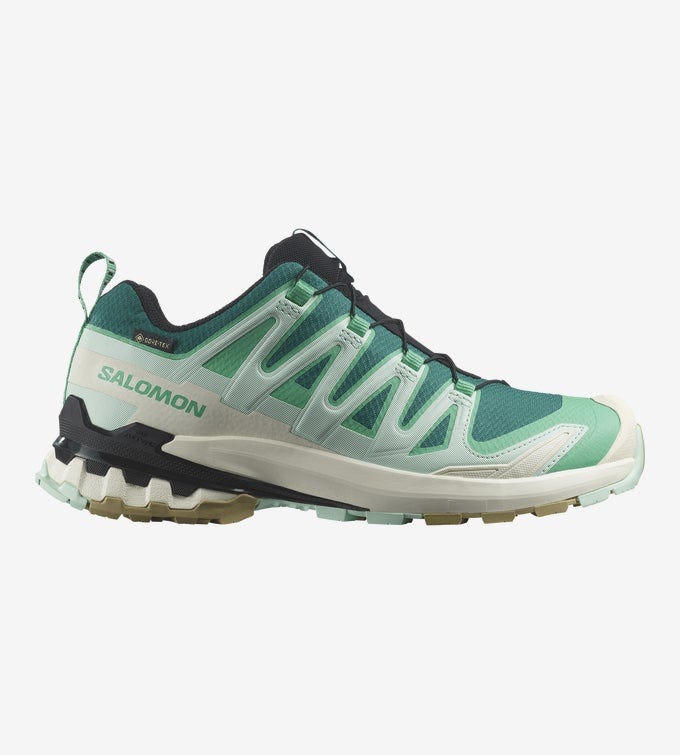 XA Pro 3D V9 GORE-TEX