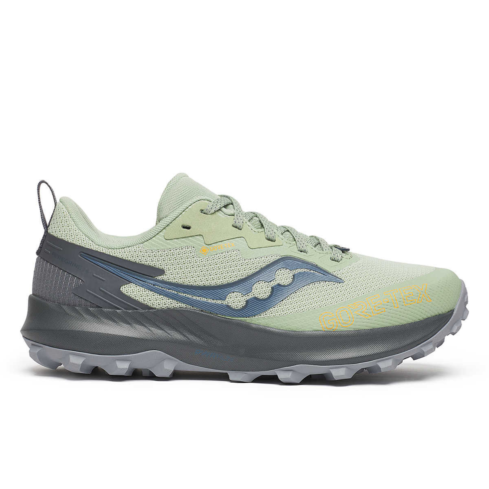 Peregrine 14 GTX