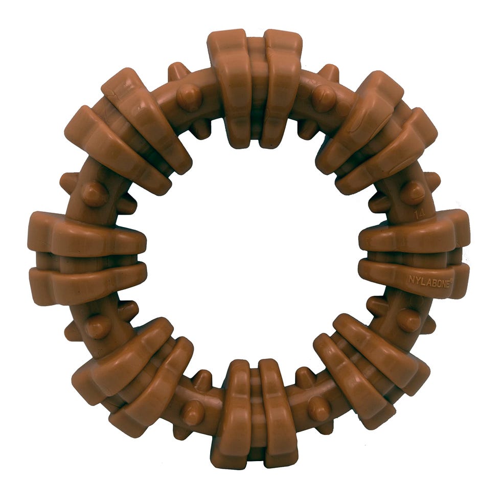 Nylabone Power Chew Textured Ring Nylabone Power Chew Textured Ring