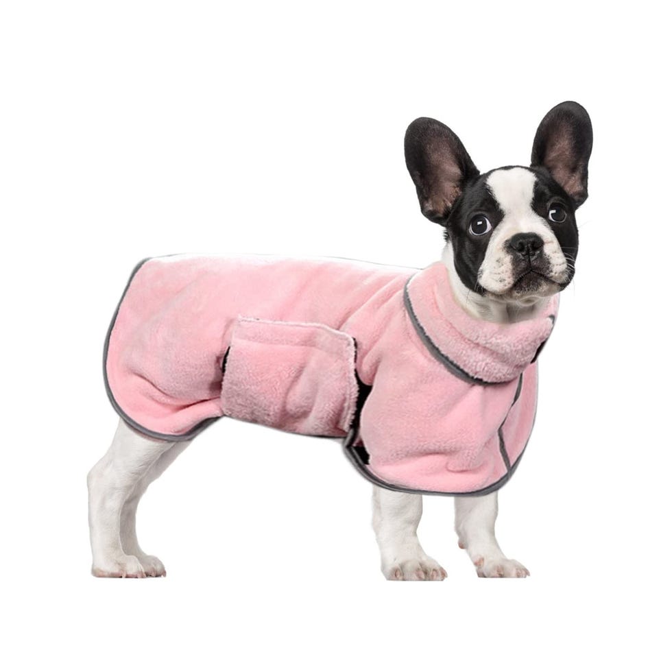 Albornoz absorbente para perros pequeños