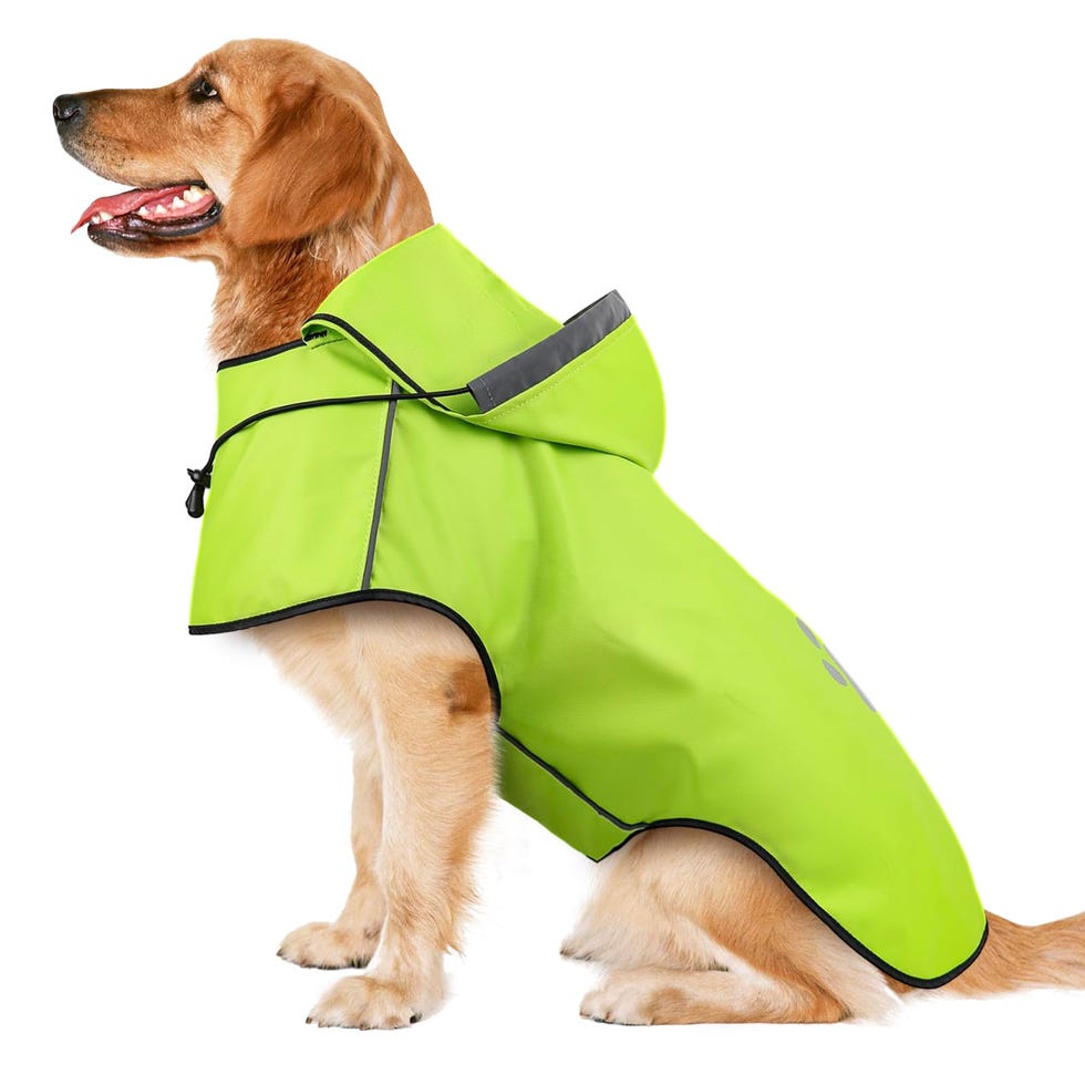 Impermeable para perros reflectante con capucha