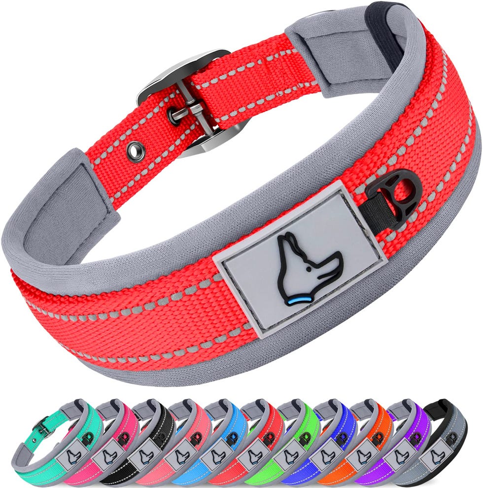 Collar Reflectante para Perros