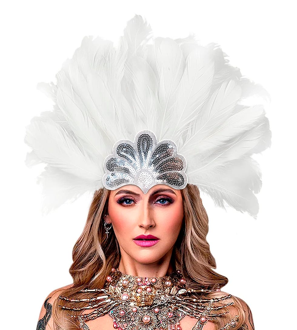 Feather headdress 