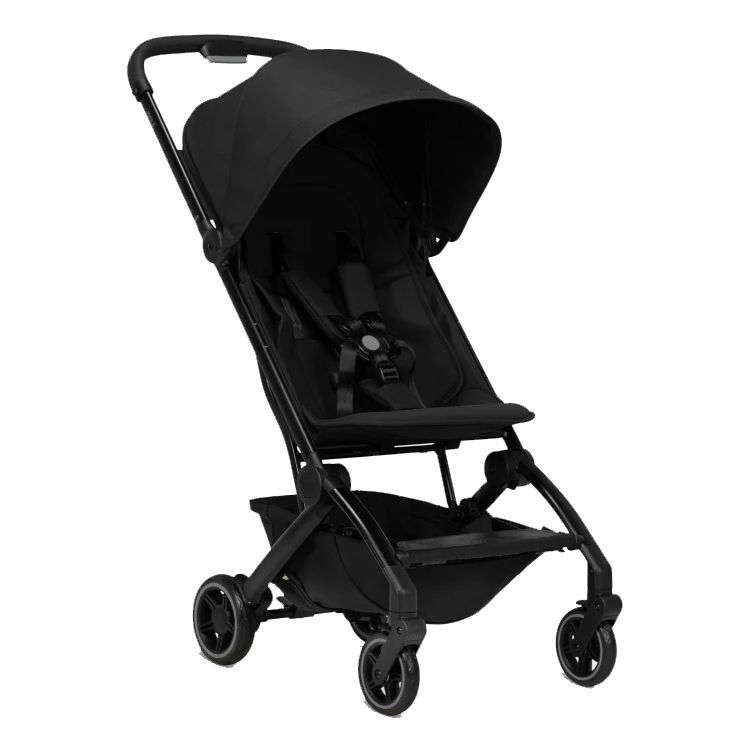 17 best pushchairs 2024 UK Silver Cross Bugaboo and more tested