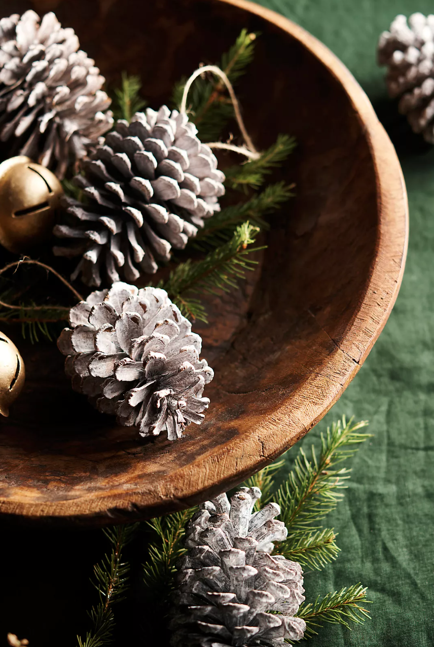 Frosted Pine Cone Ornaments