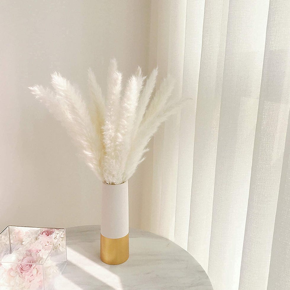 White Pampas Grass