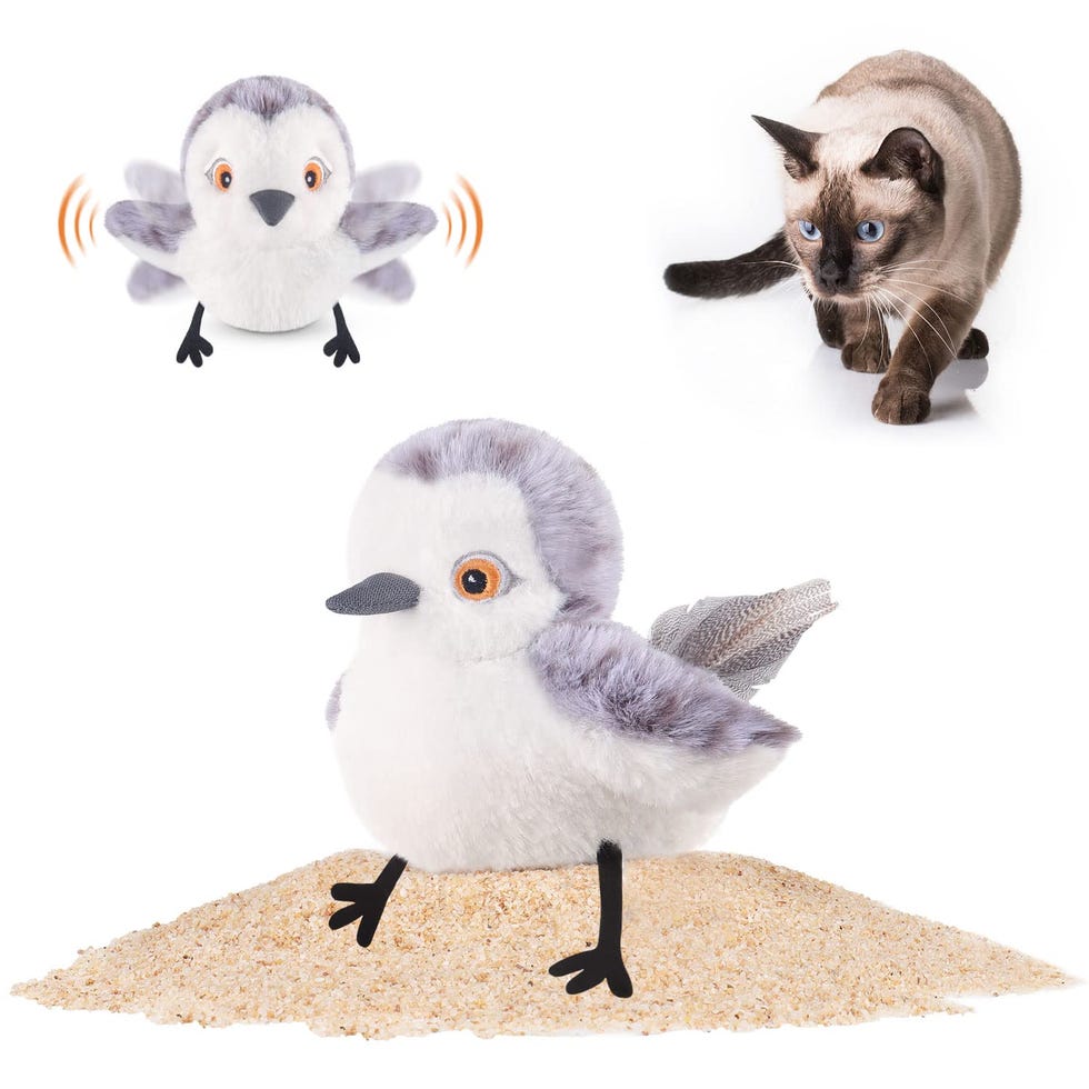 Flapping, Tweeting Bird Toy