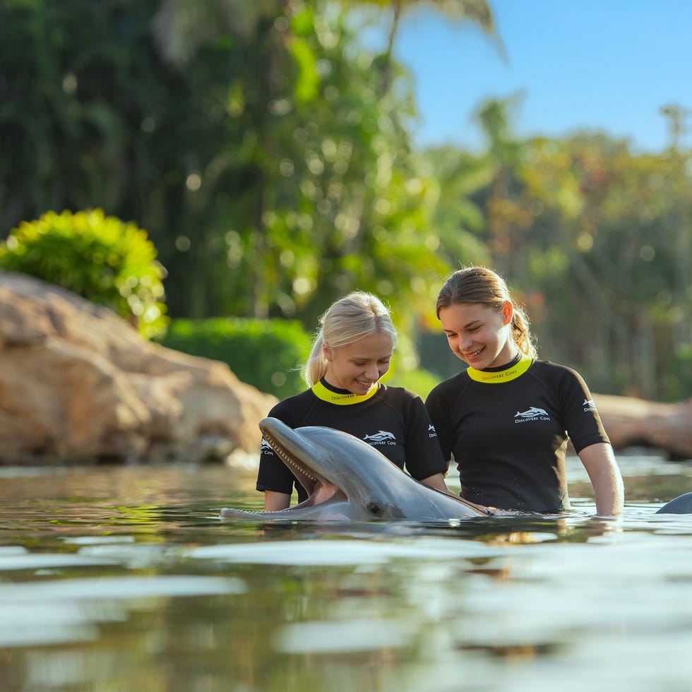 Discovery Cove Orlando, FL Discovery Cove Orlando, FL