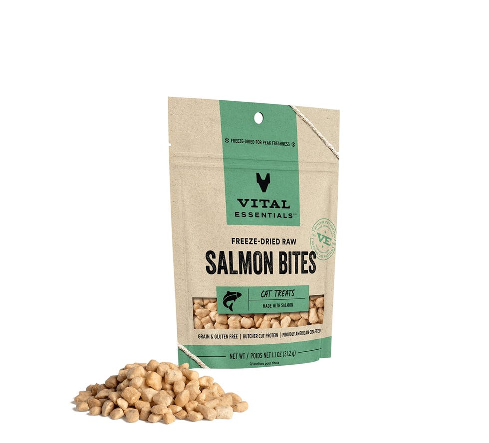 Freeze Dried Raw Cat Treats, Salmon Bites, 1.1 oz