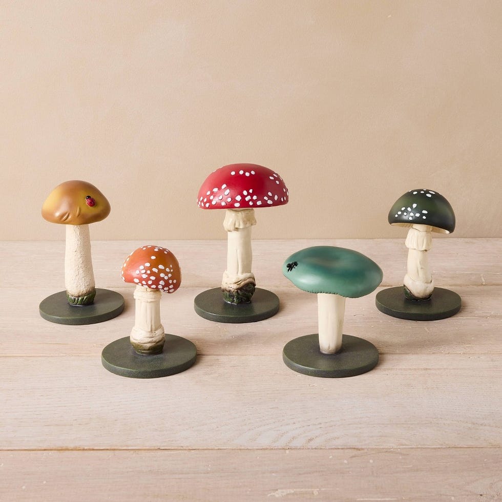 Mushroom Decorative Figures, 5-Piece Set