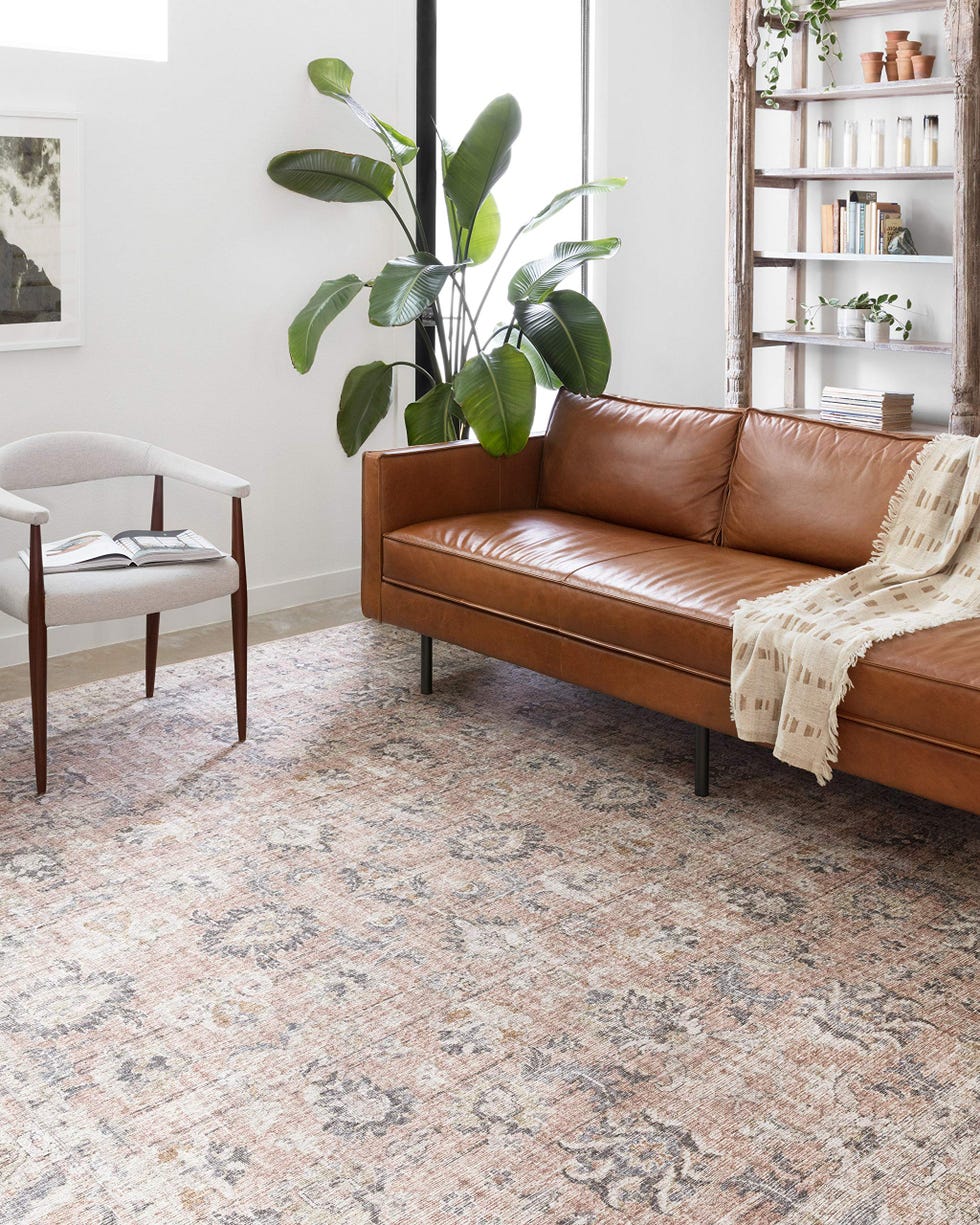 Skye Collection SKY-01 Blush/Grey Area Rug