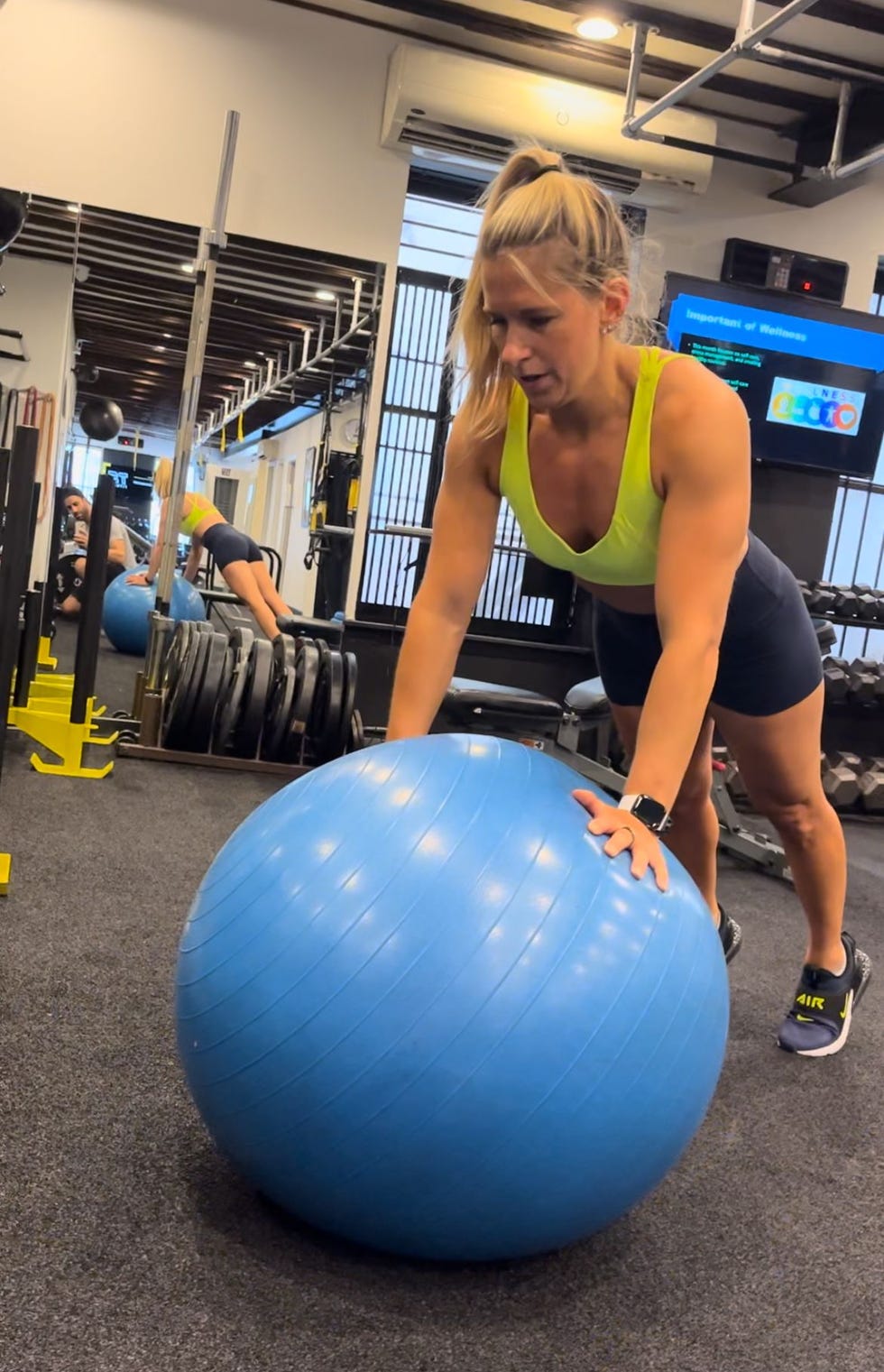 Professional Series Exercise Ball 