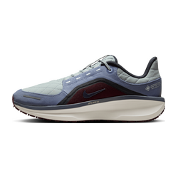 Zapatillas de running Winflo 11 GORE-TEX 