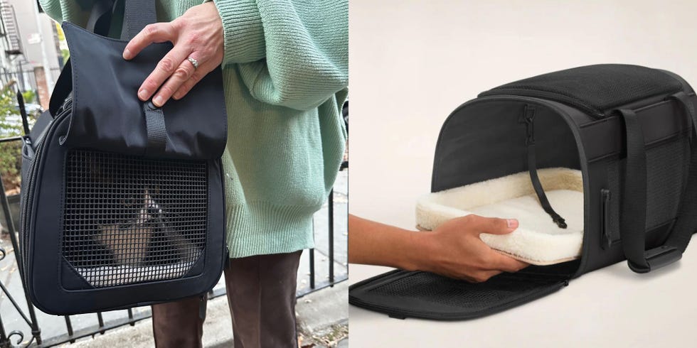 The Pet Carrier