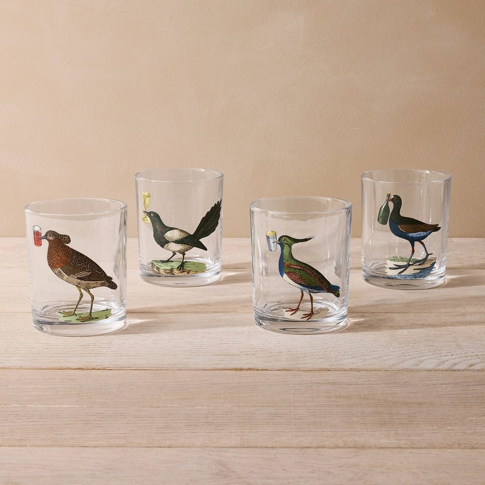 Bird Highball Cocktail Glass, 4-Piece Set