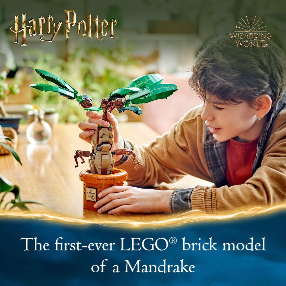 Harry Potter Mandrake 