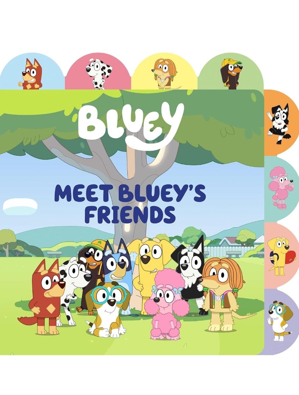 Meet Bluey's Friends Board Book