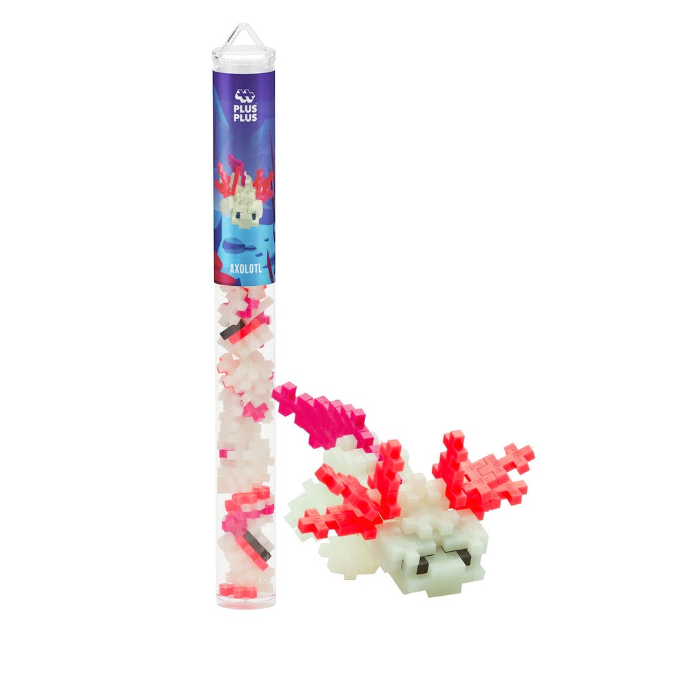 Axolotl Interlocking Building Blocks for Kids