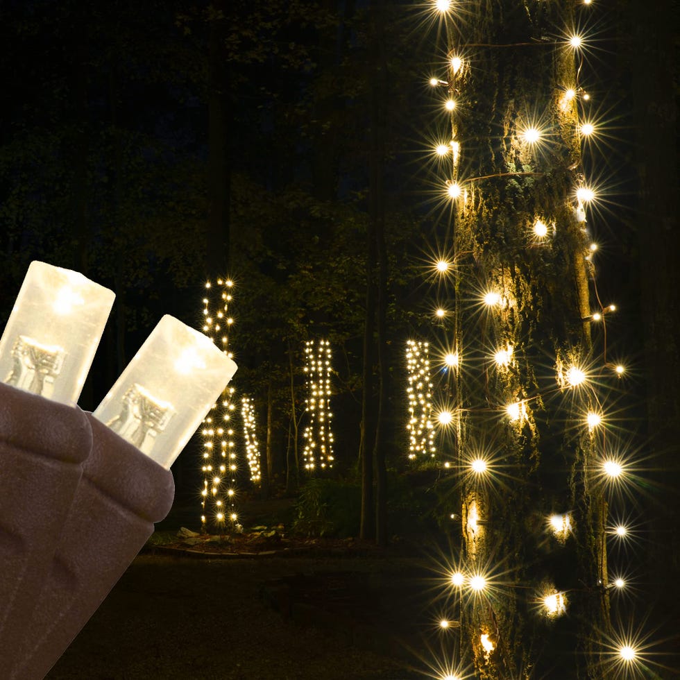 Warm White LED StretchNet Christmas Lights