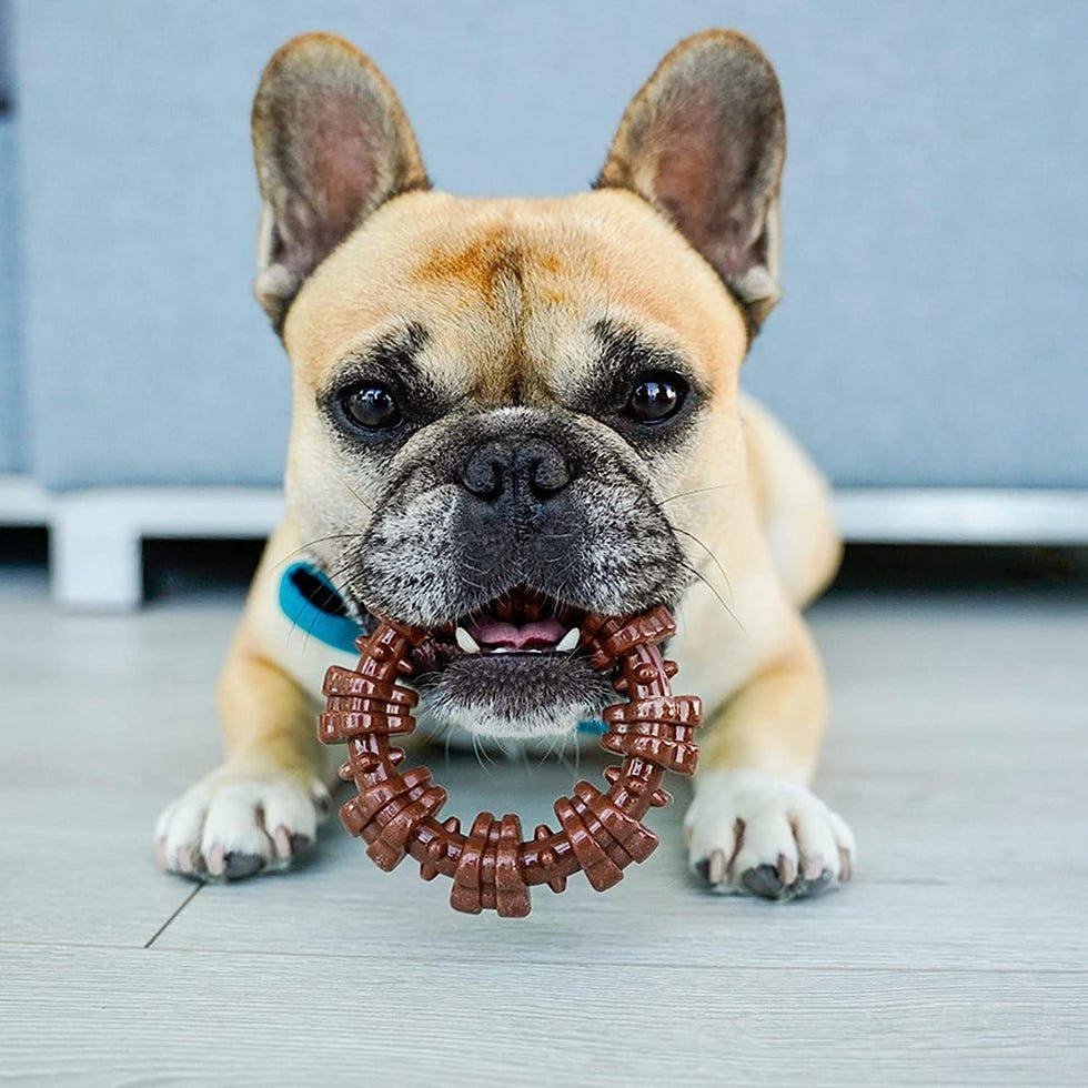 Textured Chew Ring Toy