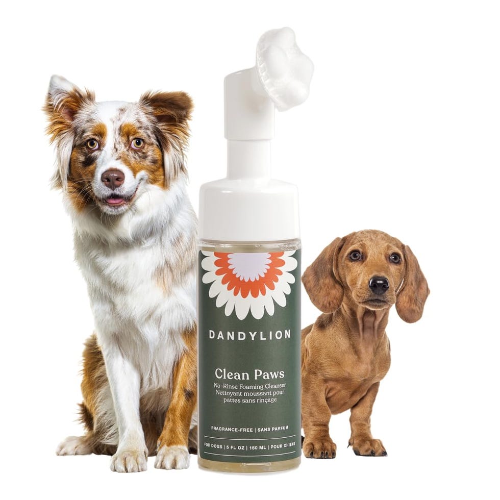 Paw Cleanser