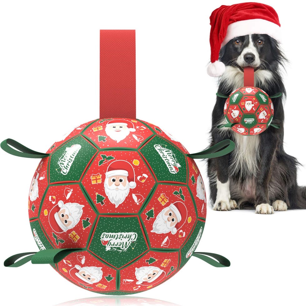 Christmas Dog Soccer Ball 