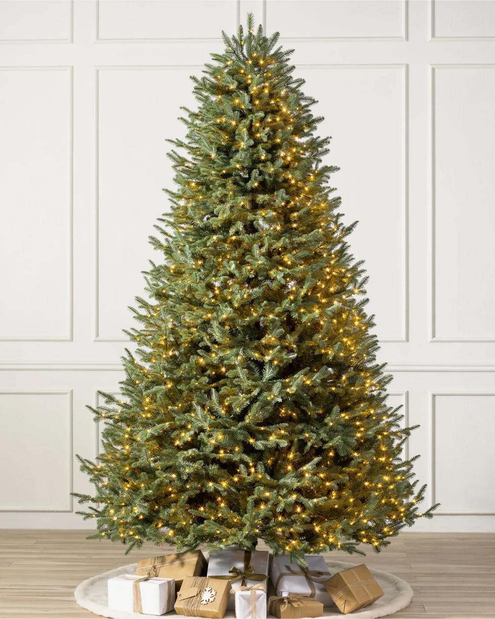 BH Balsam Fir Tree
