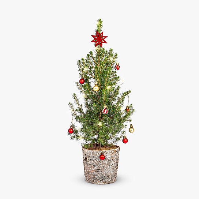 Nordic Mini Christmas Tree