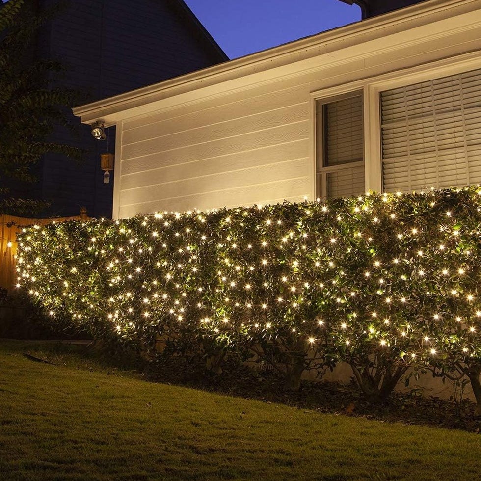 100 Christmas Net Lights 