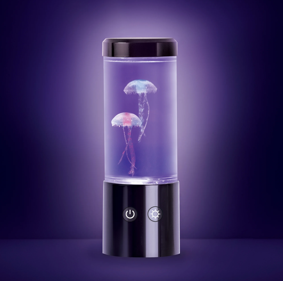 Jellyfish Lamp