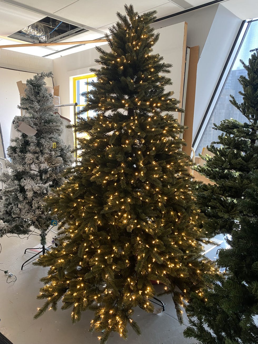 7.5-Foot Vermont White Spruce