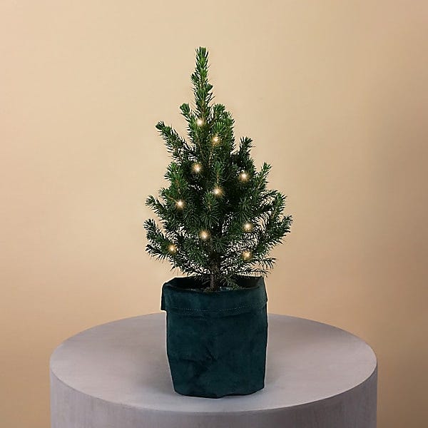 Mini Christmas Tree
