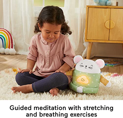 Meditation Mouse