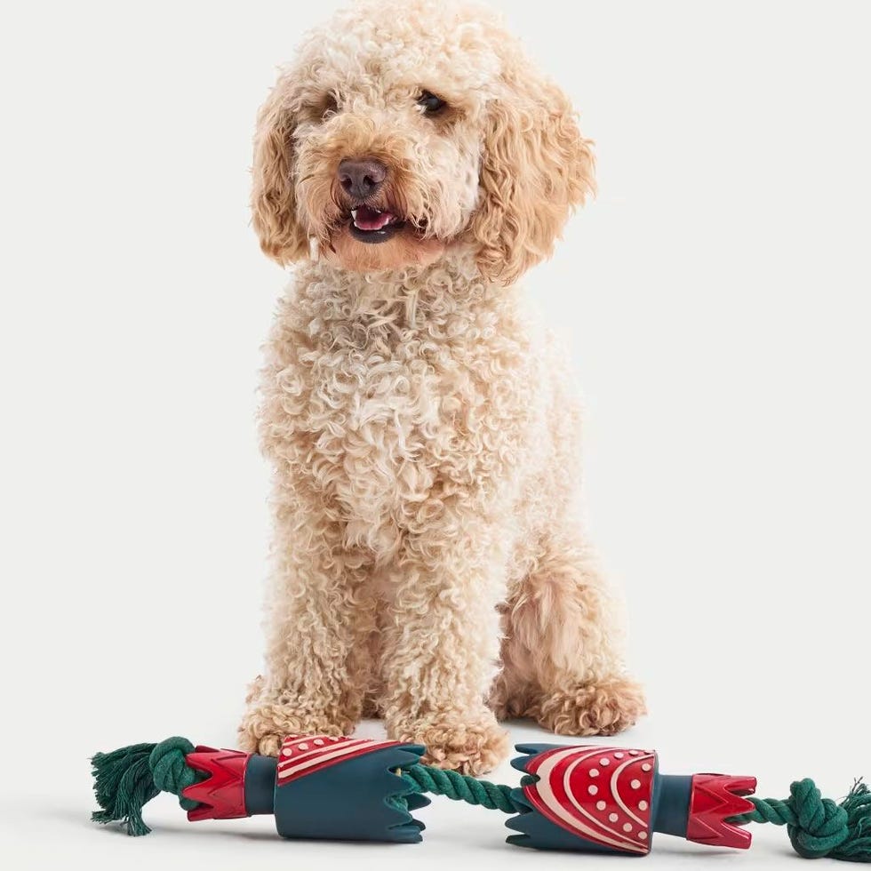 Cracker Rope Pet Toy