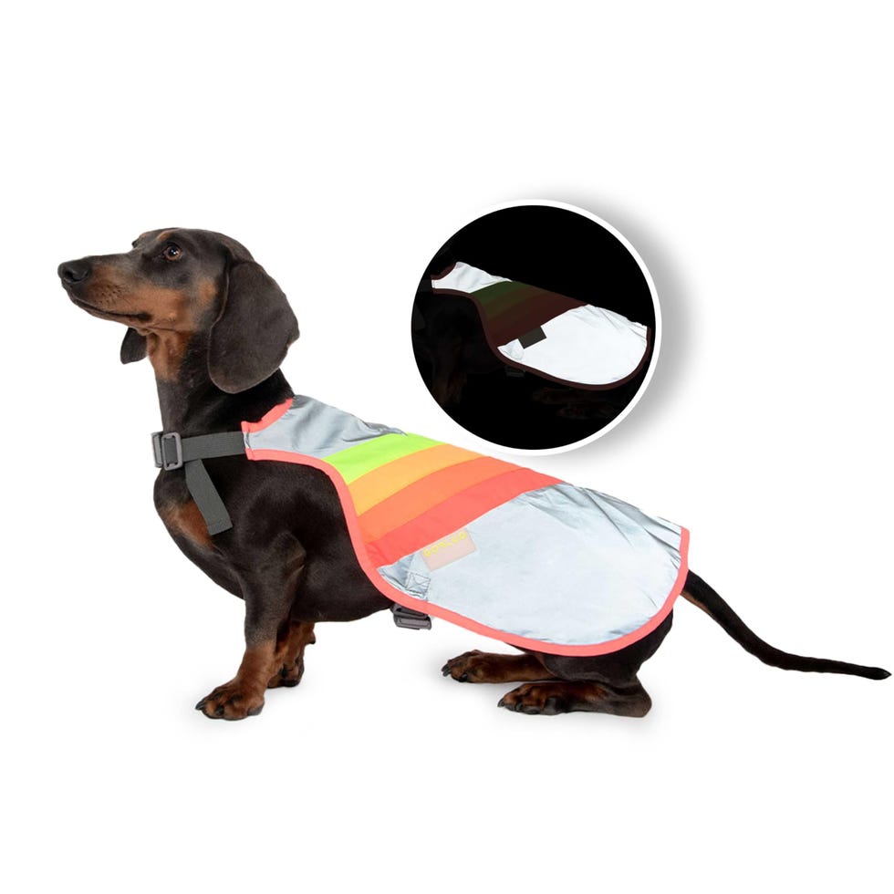 Luna reflective dog coat