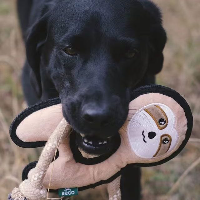 Rough & Tough Sloth Doy Toy