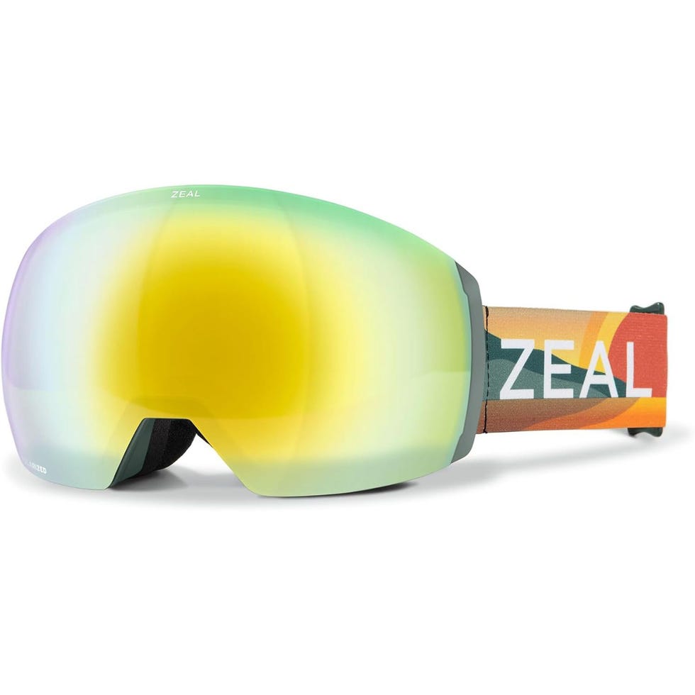 Portal XL RLs Snow Goggle