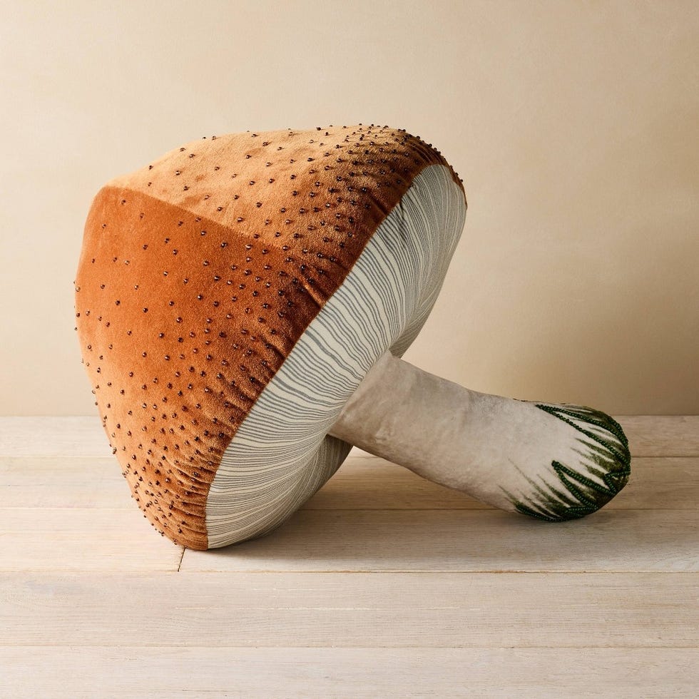 17"x14" Beaded Mushroom Novelty Pillow