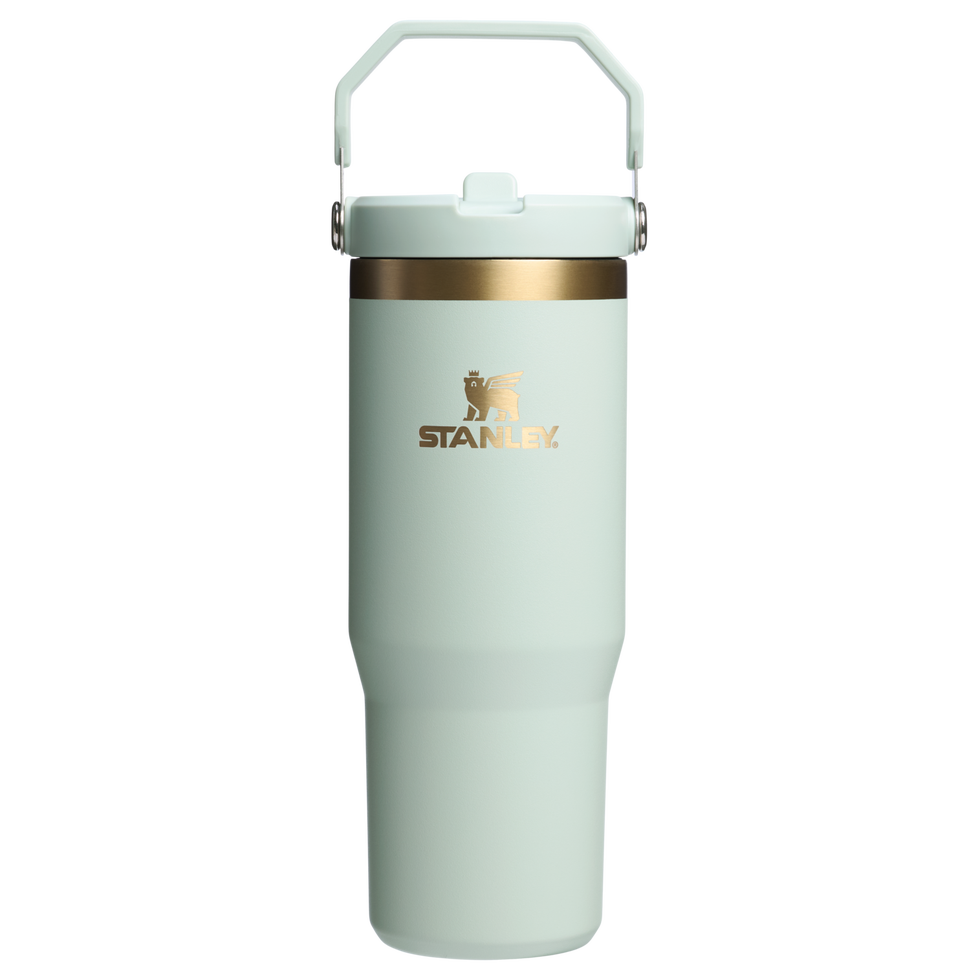 Holiday IceFlow Flip Straw Tumbler, 30 oz