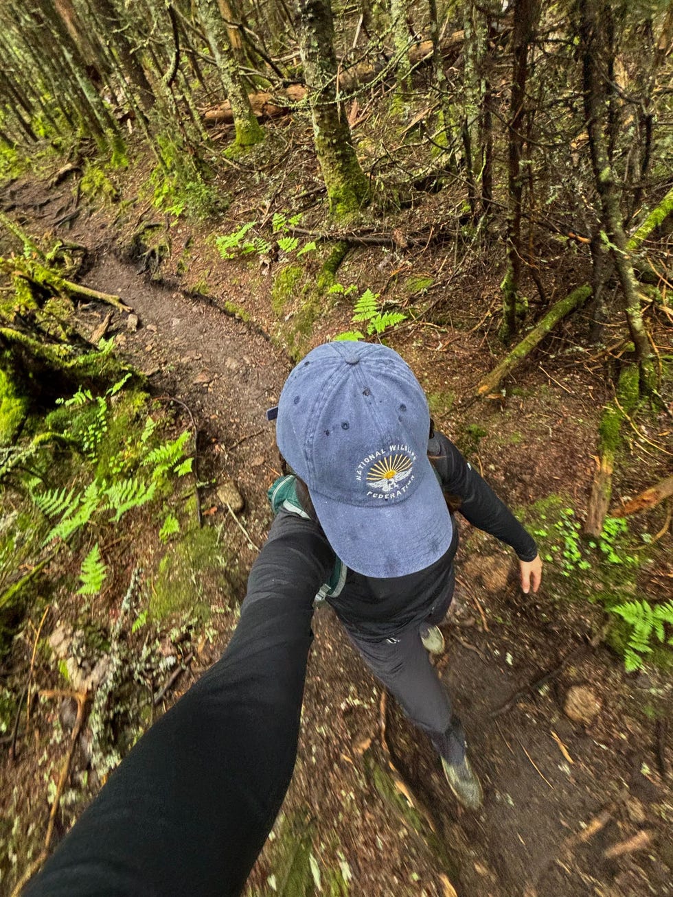 NWF 6-Panel Dad Hat