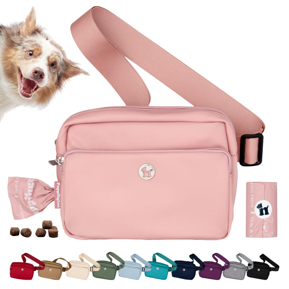 3-in-1 crossbody bag and dog snack bag