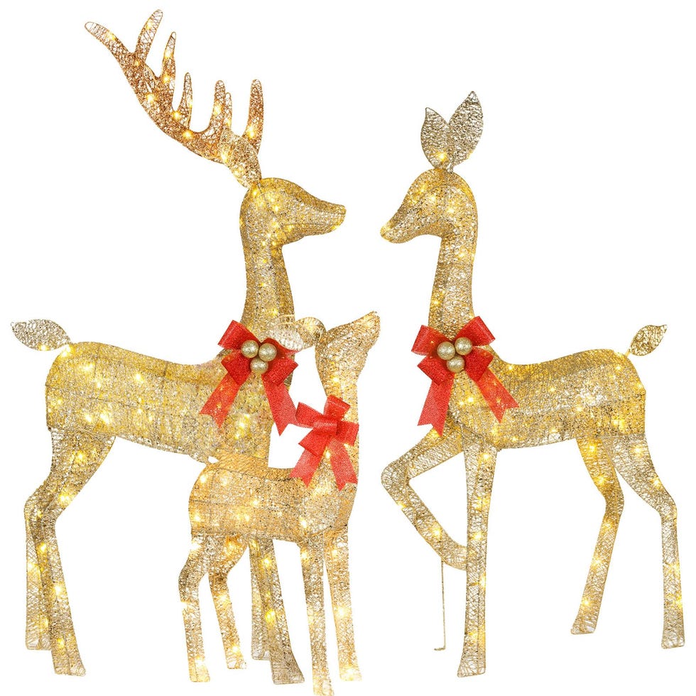 Light Up Reindeer Family Set 